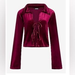 EXPRESS VELVET TOP